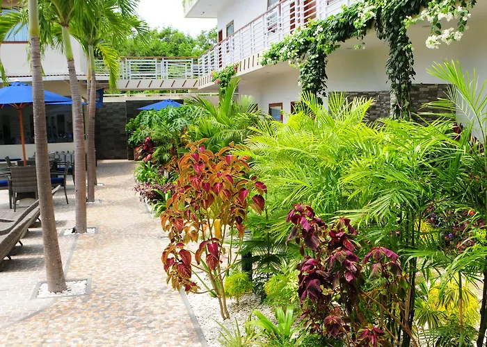 Palms Bali 3*